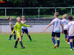 Hillen Cup 2024